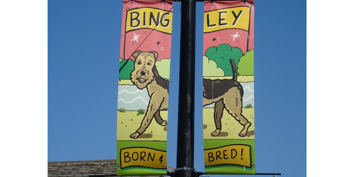 48 hours in bradford