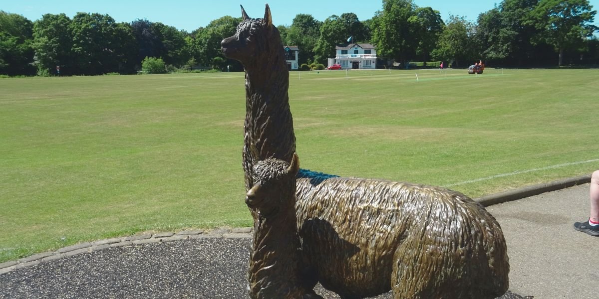 48 hours in bradford