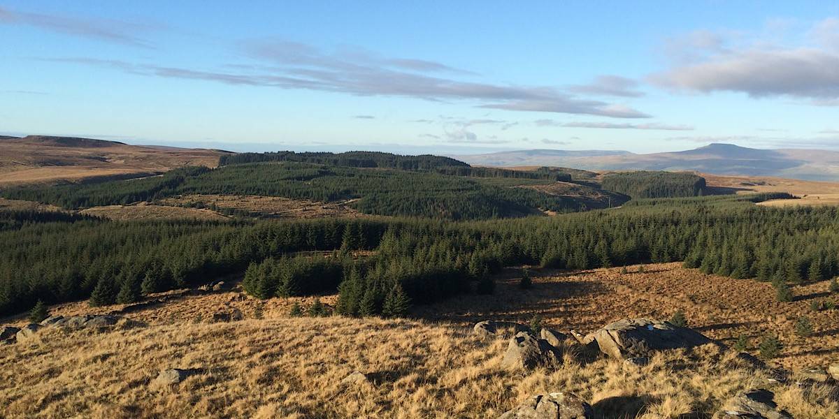 48hrs in the Ribble Valley Forest of Bowland
