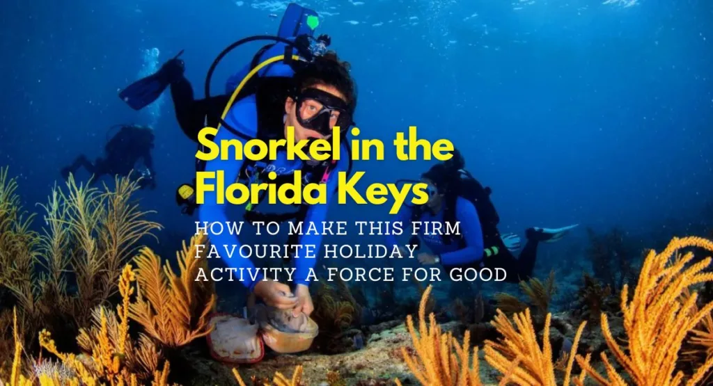 Snorkel in the Florida Keys