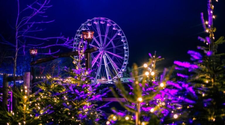 Tulleys Farm Rides Tulleys Farm’s NEW innovative Christmas Light Festival illuminates ...
