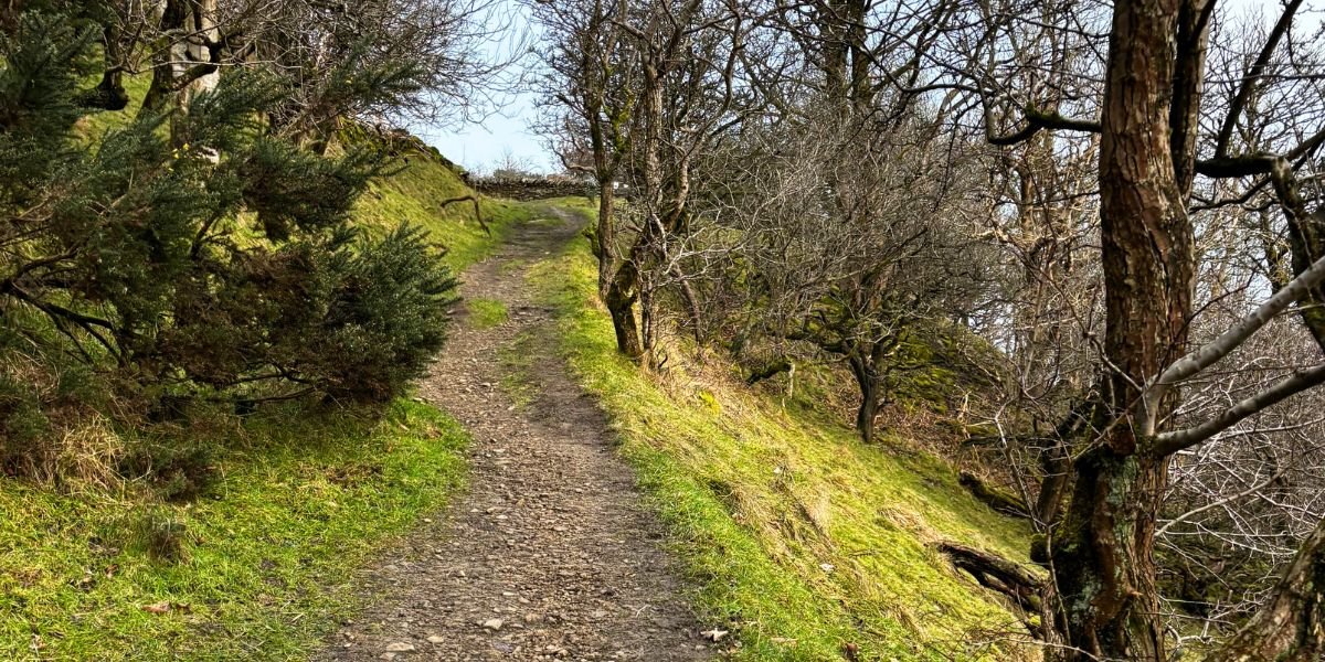 Hike in Cheshire Hills