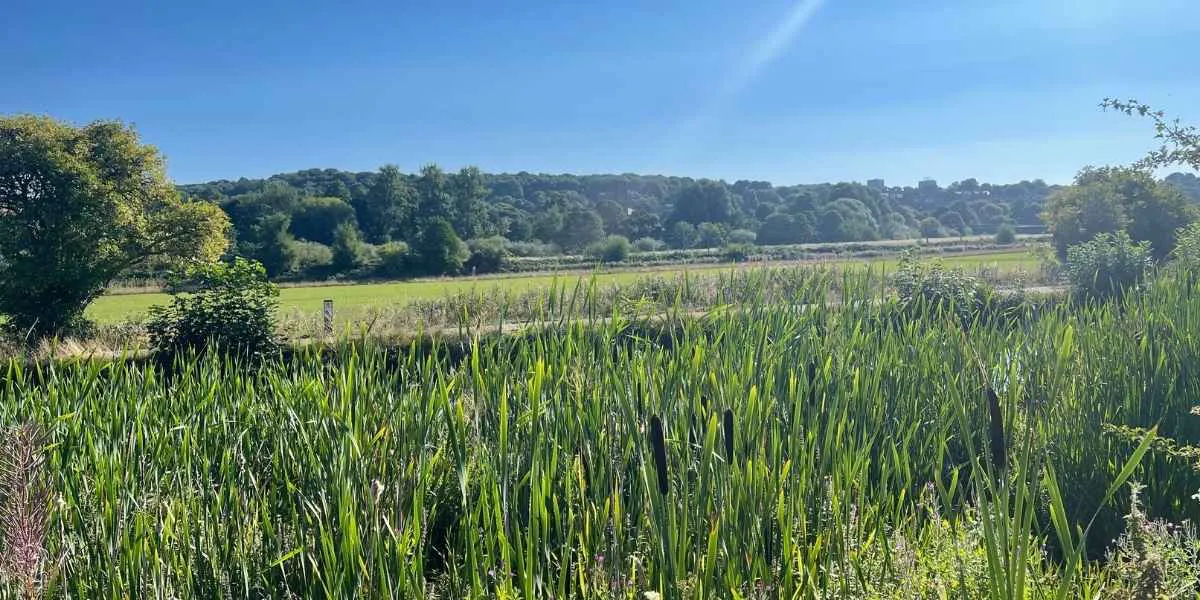 Leeds and Liverpool Canal