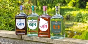 bottles of gin on a fence
