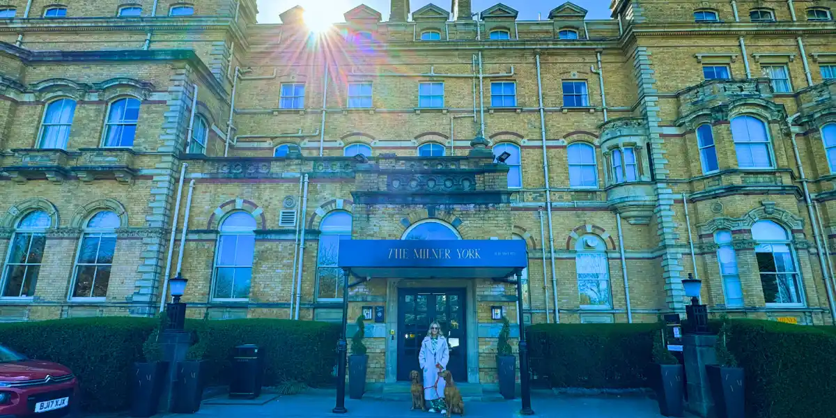 dog friendly hotel york