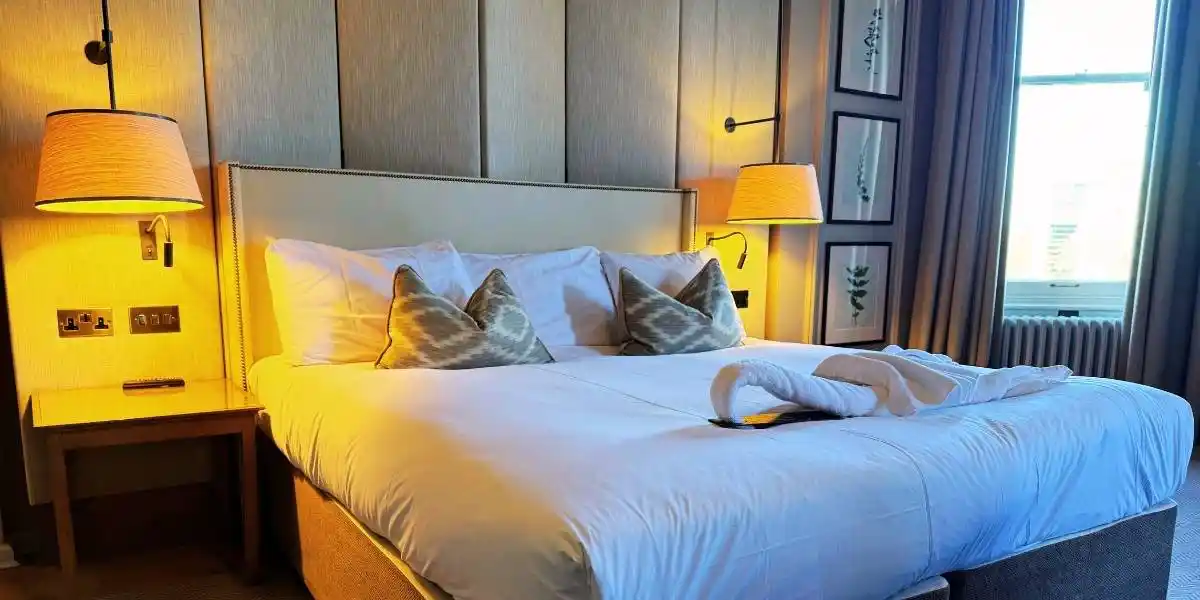 dog friendly hotel york