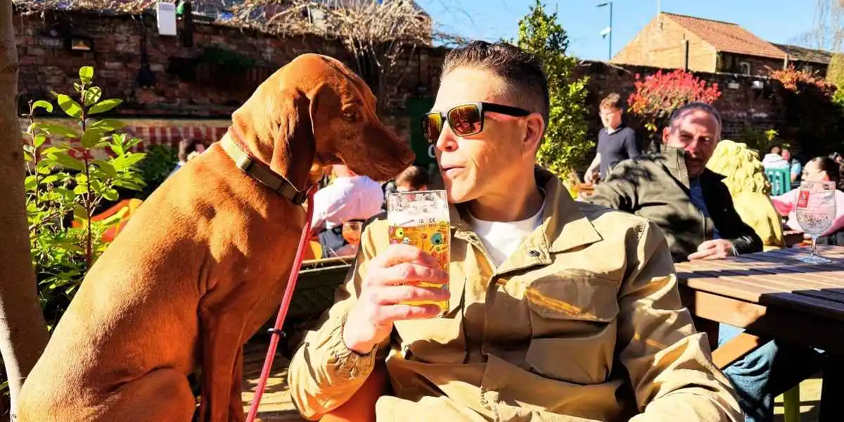 dog friendly hotel york