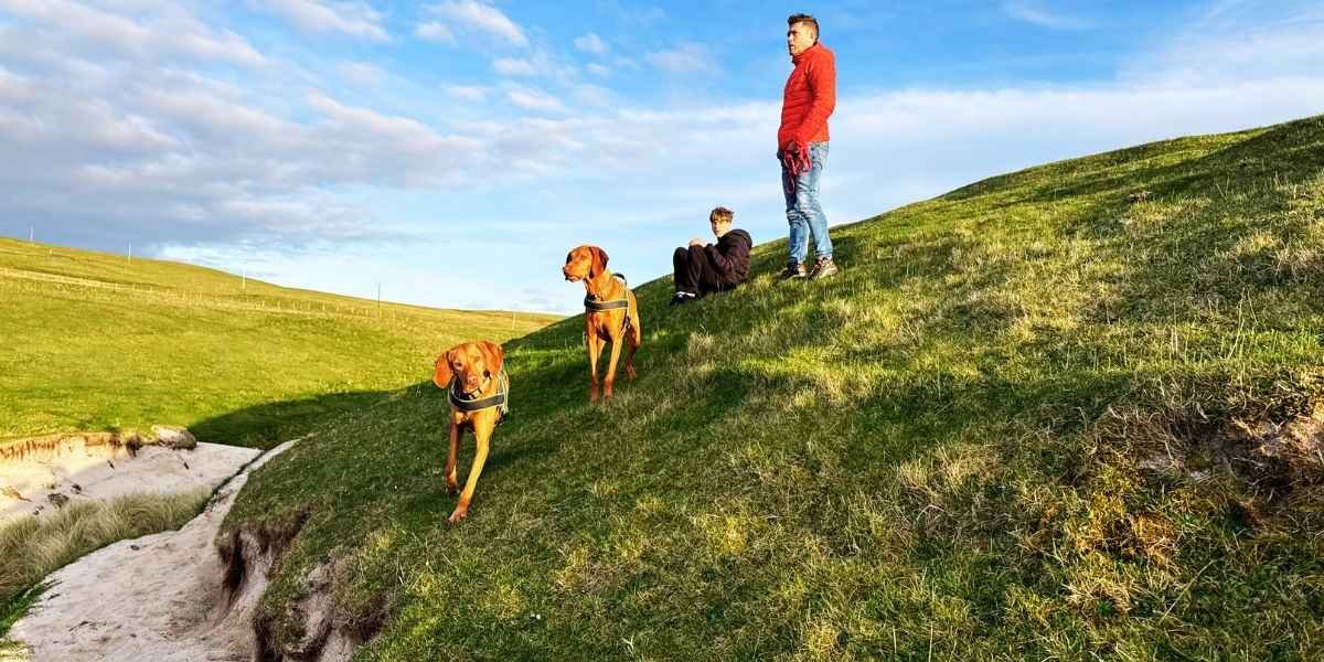 NC500 campsites john ogroats