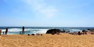 things to do in porto