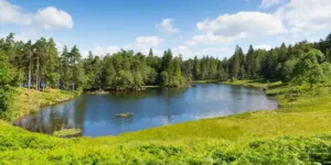 weekend in lake district tarn hows