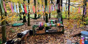 wild by nature woodland experience lancashire