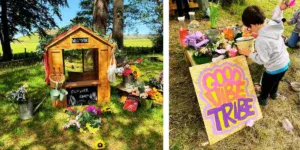 wild by nature woodland experience lancashire