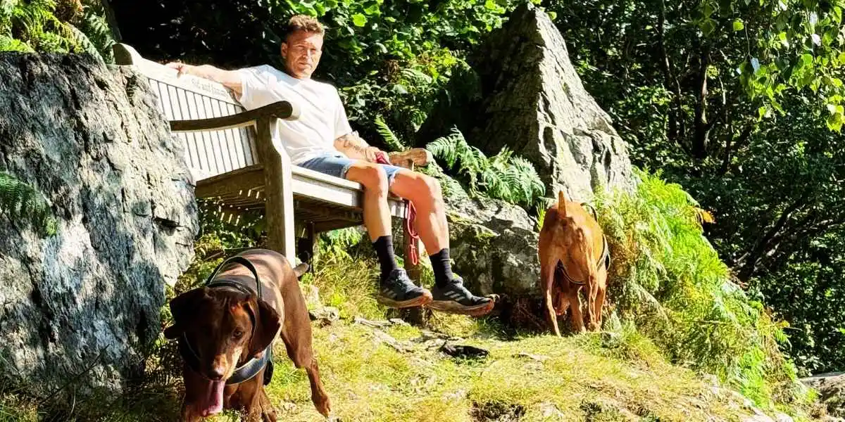 Yibake camping pizza oven