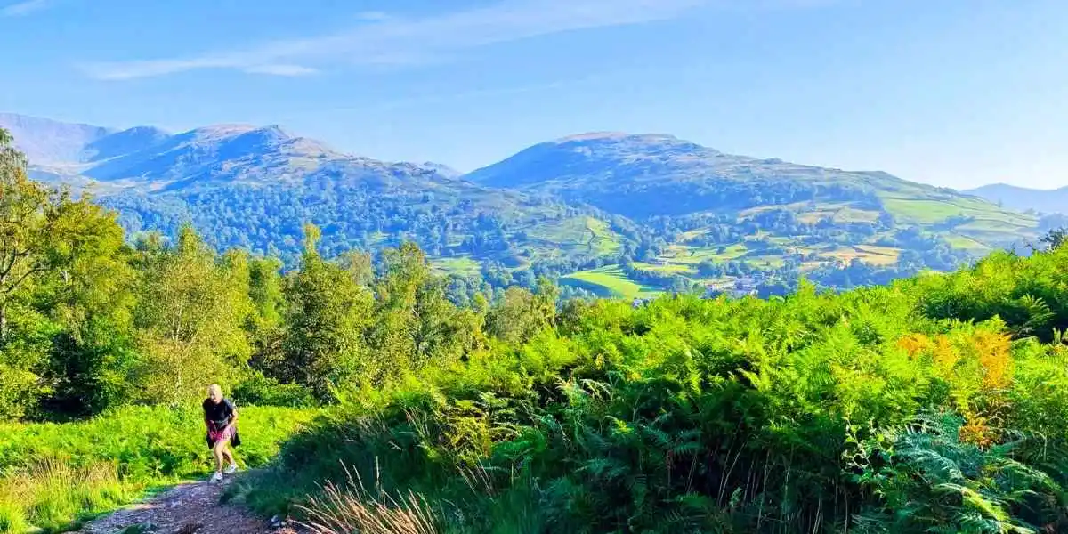 Yibake camping pizza oven