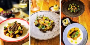 the old liquor store york