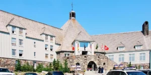timberline lodge puppies