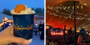 halloween events cheshire, hot chocolate drink and some sparkly lights