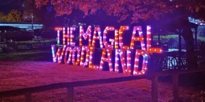 Halloween events cheshire, words made out of lights the magical woodland