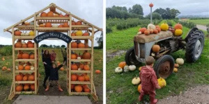 halloween events cheshire pumpkin farm scene with family enjoying the season