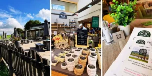 afternoon tea at wensleydale creamery