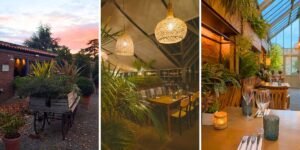 glasshouse wynyard hall 3 images of the interior and exterior of the glasshouse restaurant