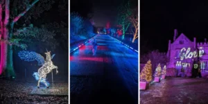 christmas in hampshire