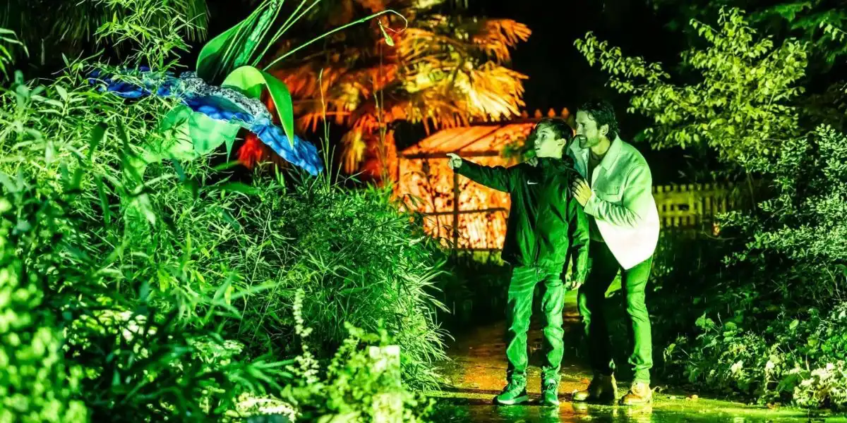 man and child lookig into brightly lit bushes halloween blenheim palace