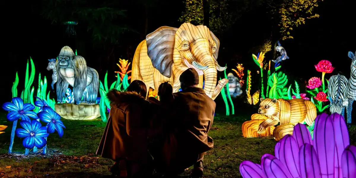 lantern animals with family group in foreground