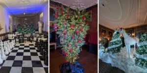 christmas in hampshire