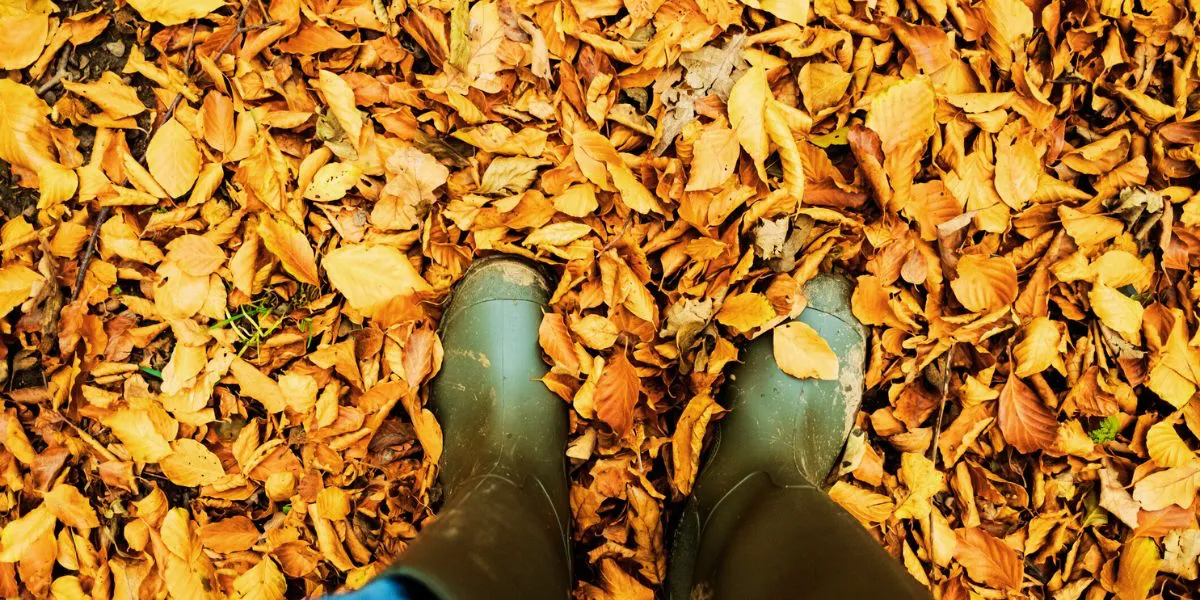 october gardening tips