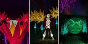 christmas in hampshire