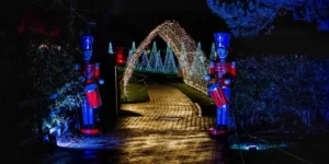 Christmas Events Hertfordshire 4