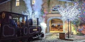 moors valley christmas in bournemouth