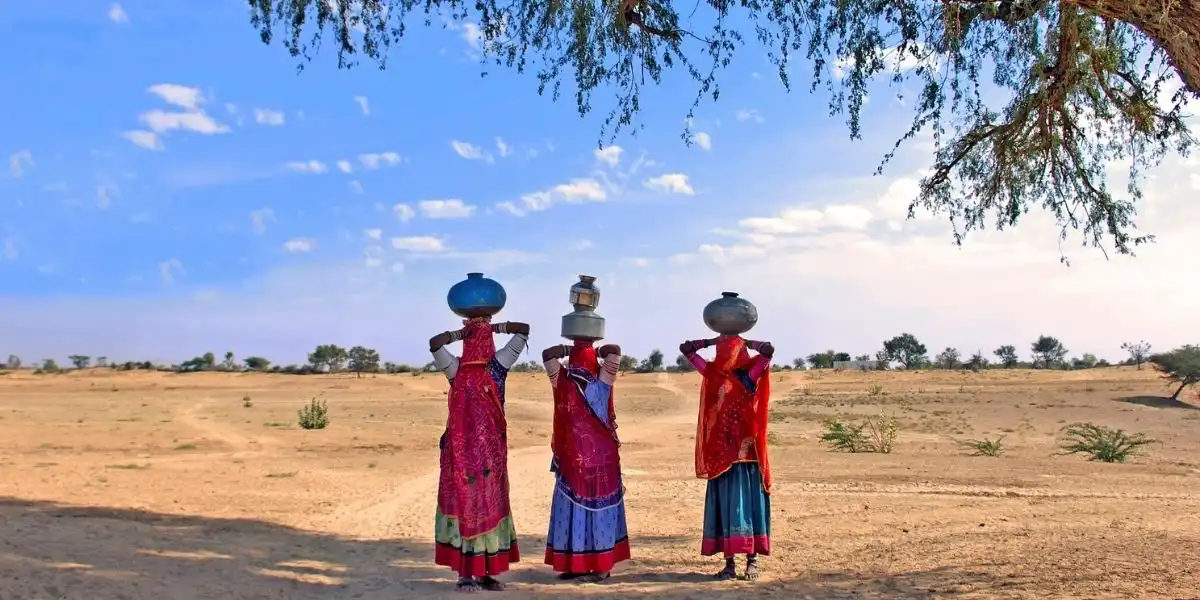 experiencing india India, Thar desert. India, Jaisalmer: Women in the desert; typical view of this region with tree women dressed with the traditional coloured saree