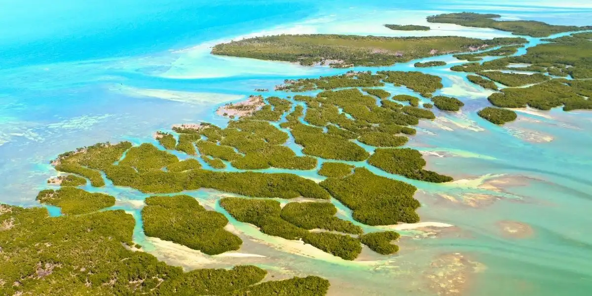 Aerial view of the Florida Keys