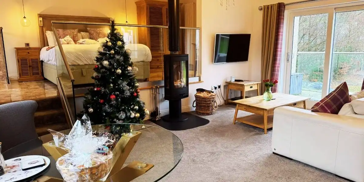log burner and christmas tree