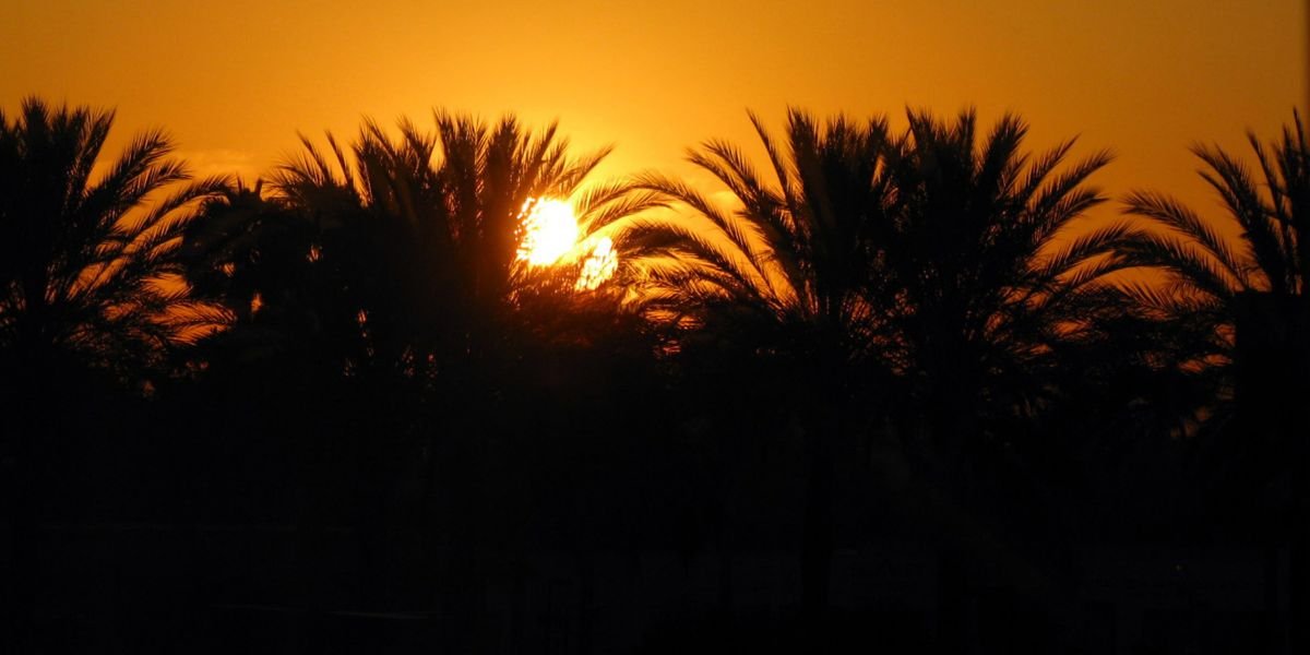 California Sunrise. June sunrise in Anaheim, California