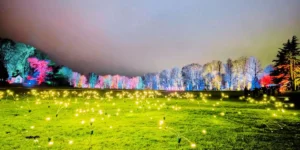 exciting events in basingstoke