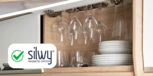 NEC silwy caravan show 