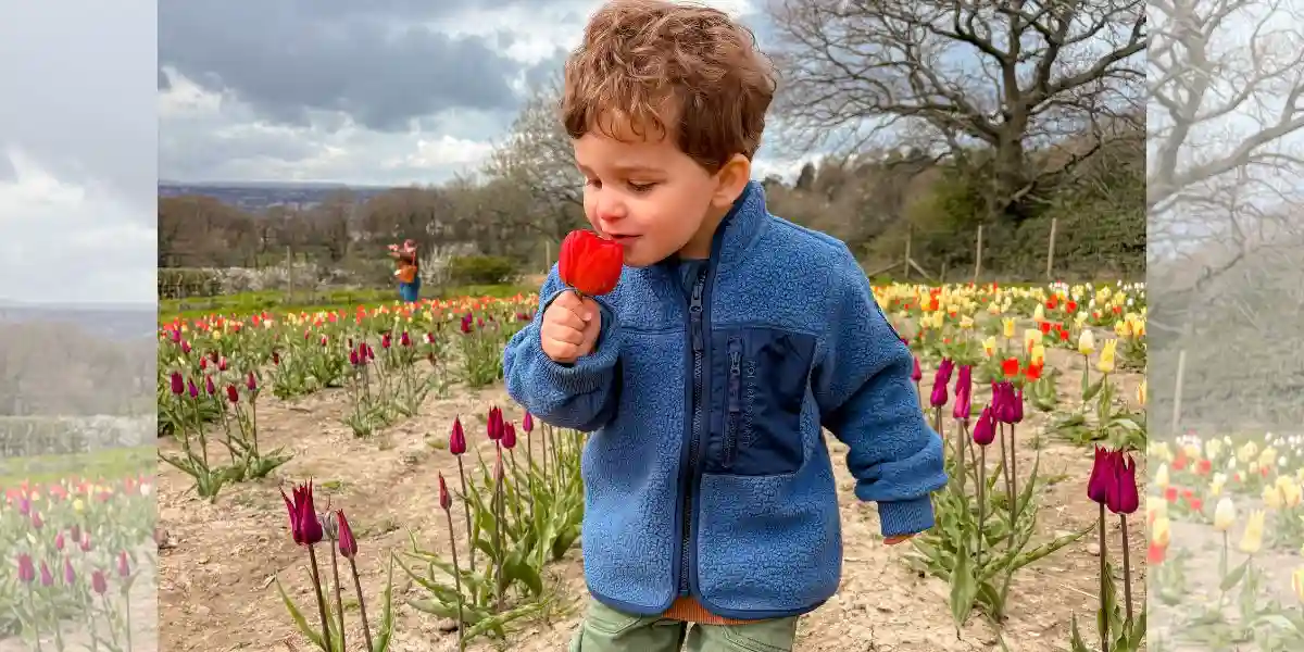 young boy with a flower running in the garden