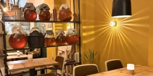 broei kombucha fermenting on shelves