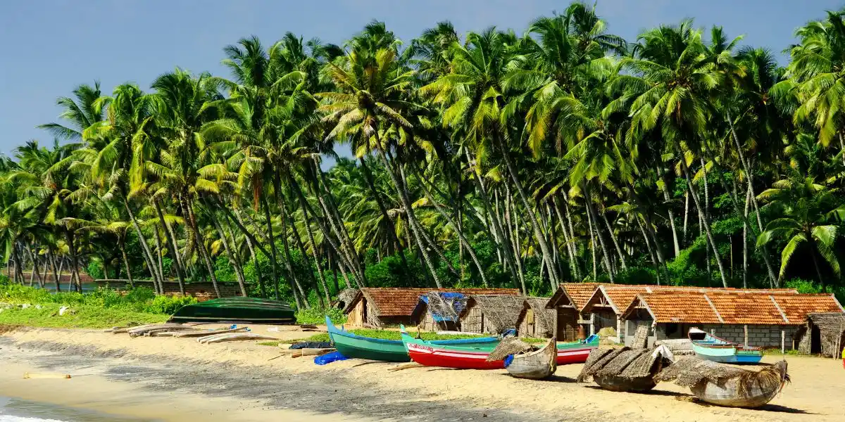 a beautiful beach with fishing boats in Goa