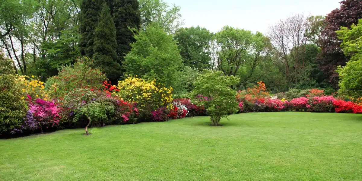 a beautiful lawn with borders