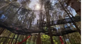 high ropes adventure play