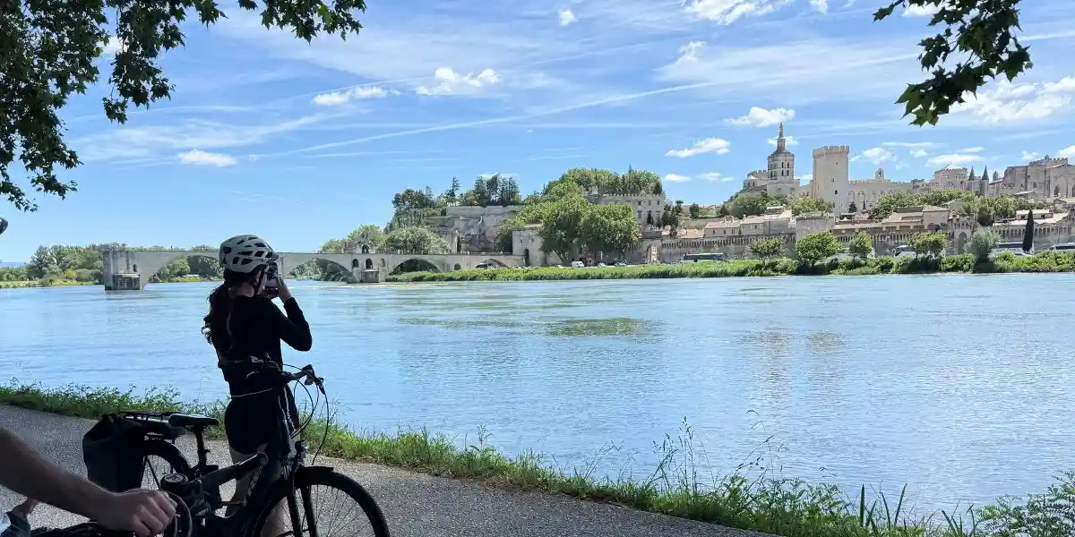 avignon taken from the opposite side of the river