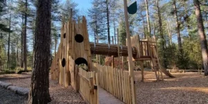 wooden outdoor playground in the new forest