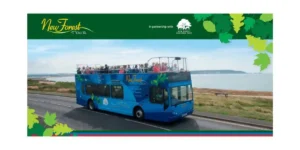 flyer for the new forest bus tours