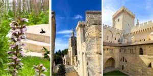 3 images inside the palais de papes
