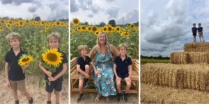 three images of a family day out at castle farm in shoreham in sunflower season