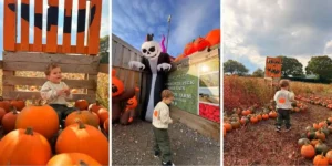kemps farm horsforth PYO Halloween
